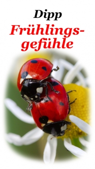 Dipp Frühlingsgefühle (80g im Glas)